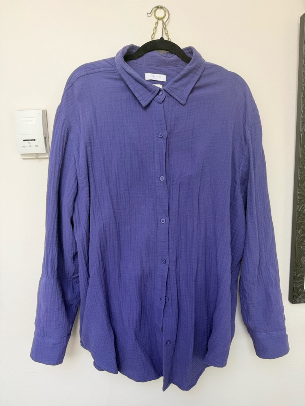 Aritzia Blue/Purple Lightweight Button-Down Shirt